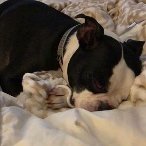 Meet your Posher, N dane